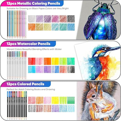 81 Pack Art Supplies for Adults (81 Count)
