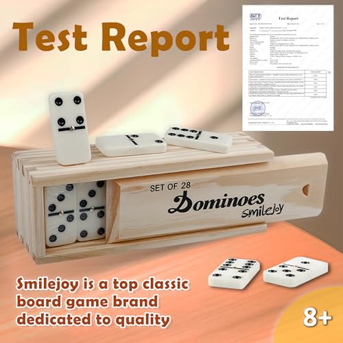 Double Six Dominoes Set for Adults