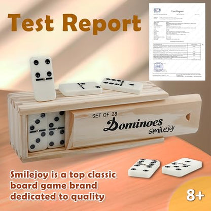 Double Six Dominoes Set for Adults