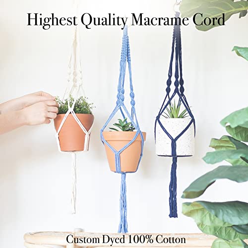 Macrame Kit Makes 3 DIY Plant Hangers for Teens & Adult Beginners (3 Count)