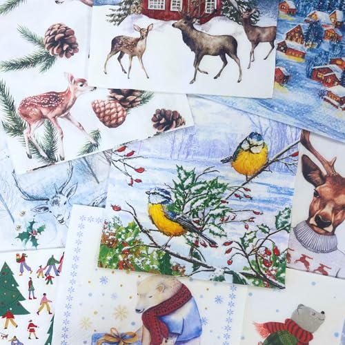 Mystery Pack Decoupage Paper Napkins (20 Count)