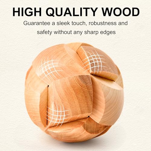 16 PCS Metal & Wooden Brain Teaser Puzzle Set (72 Count)