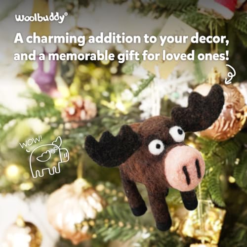 Needle Felting Starter Kit