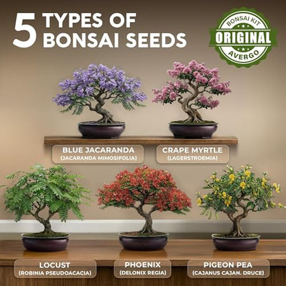 Bonsai Tree Kit Deluxe