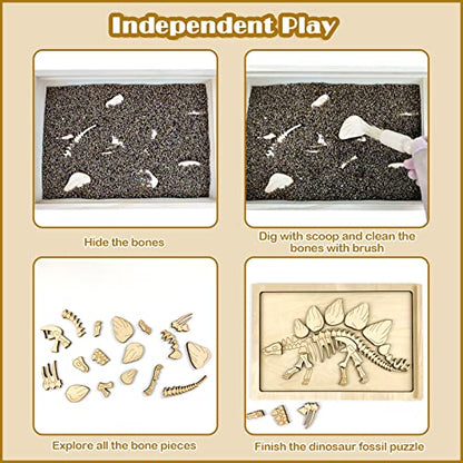 Dinosaur Excavation Archaeology Dig Kit for Kids
