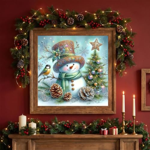 Christmas Snowman Stamped Cross Stitch Kits for Beginners Adults