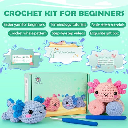 Crochet Kit for Beginners (2 Count)