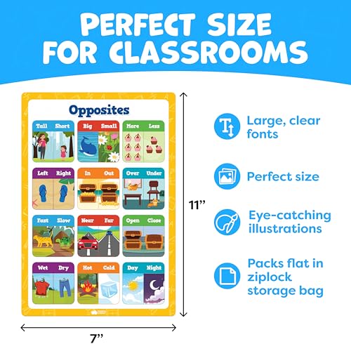 Educational Learning Posters for Toddlers 1 (20 Count)