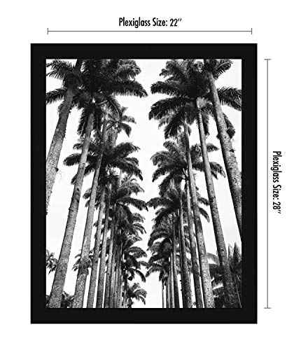 22x28 Poster Frame