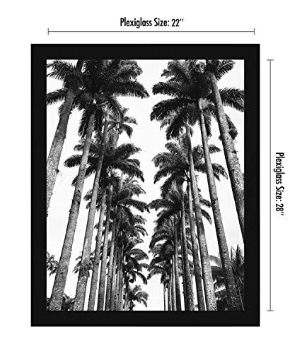 22x28 Poster Frame