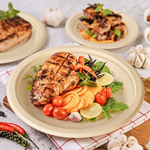 100% Compostable Plates Set 700pcs Heavy (700 Count)