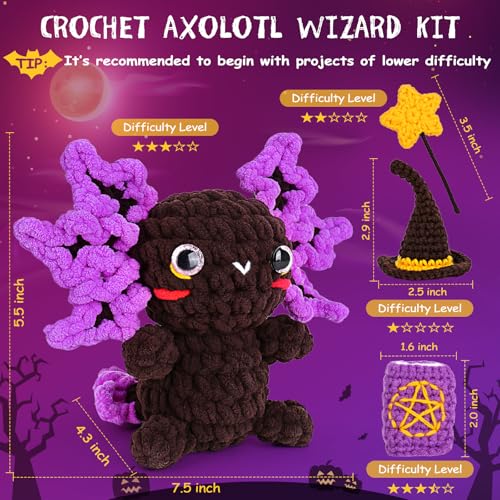 Crochet Kit for Beginners
