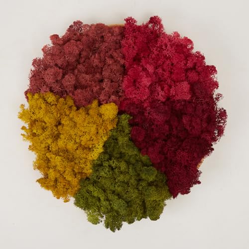 Preserved Reindeer Mix Craft Moss Natural Green DIY Kit Gardenning Art Wall Decor Florist Easter Table Decor Wedding Decor