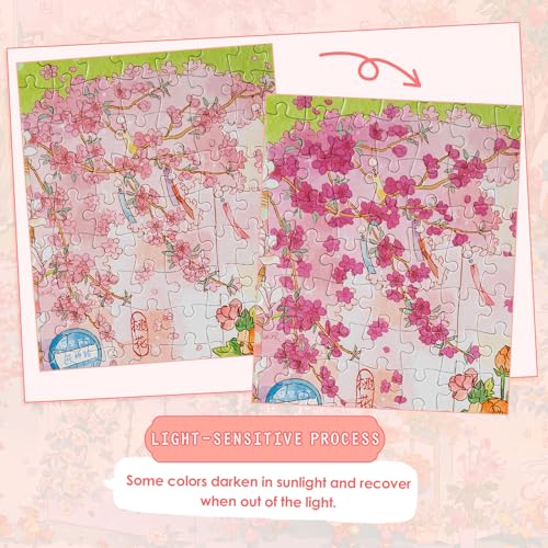 1000 Piece Puzzle for Adults Jigsaw Puzzles (1000 Count)