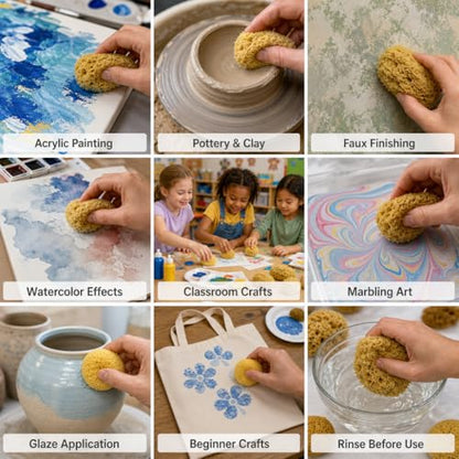 Natural Sea & Synthetic Sponges 7pk (7 Count)