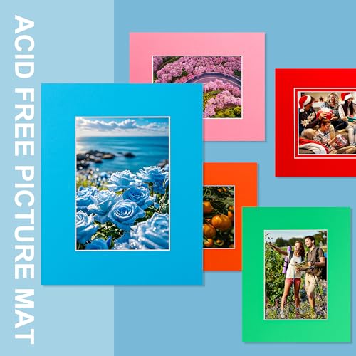10 Pack 8x10 Mixed Colors Picture Mats