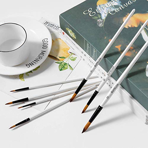 Acrylic Paint Brushes Set