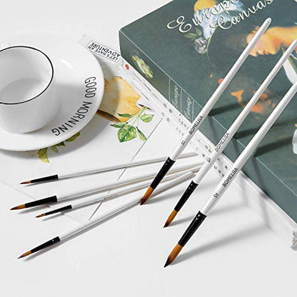 Acrylic Paint Brushes Set