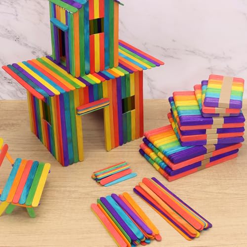 1000PCS Colored Craft Sticks (1000 Count)