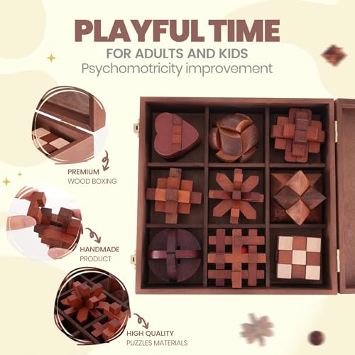 Wooden Brain Teaser Puzzles for Adults Teens (9 Count)