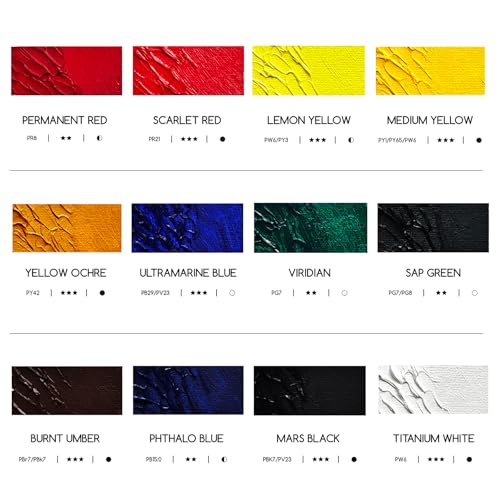 Artist Oil Paint Set (24 Fl Oz)