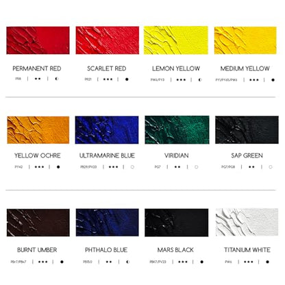 Artist Oil Paint Set (24 Fl Oz)