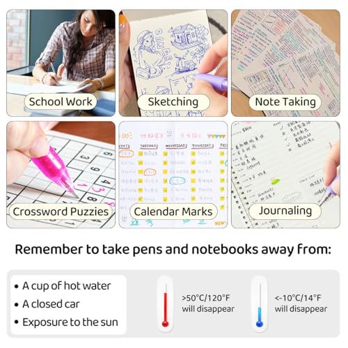 Colored Erasable Pens (12 Count)
