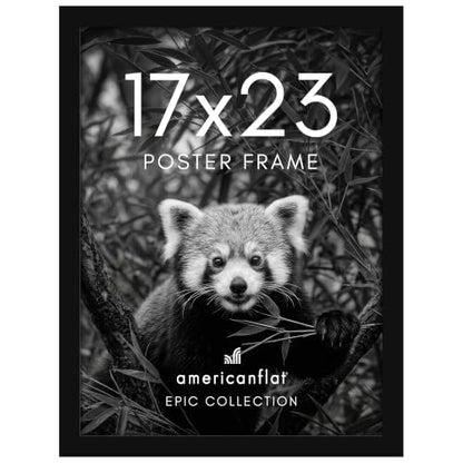17x23 Poster Frame