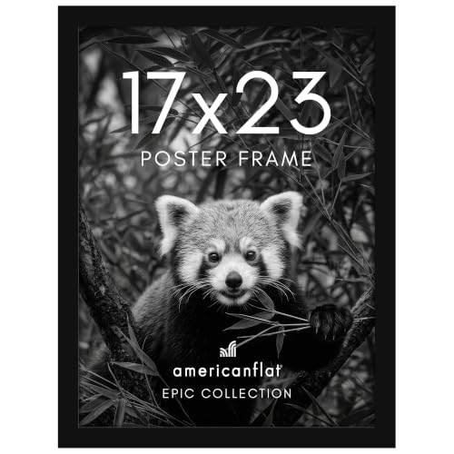 17x23 Poster Frame