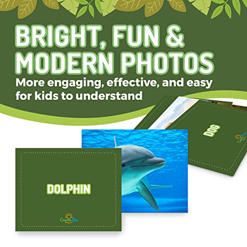 50 Animal Flash Cards