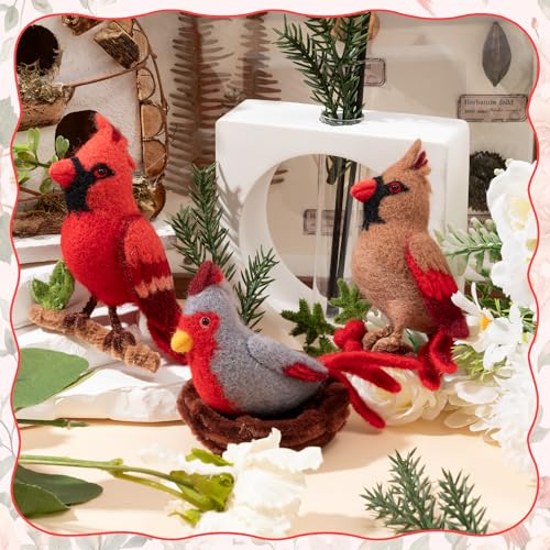 Needle Felting Kit