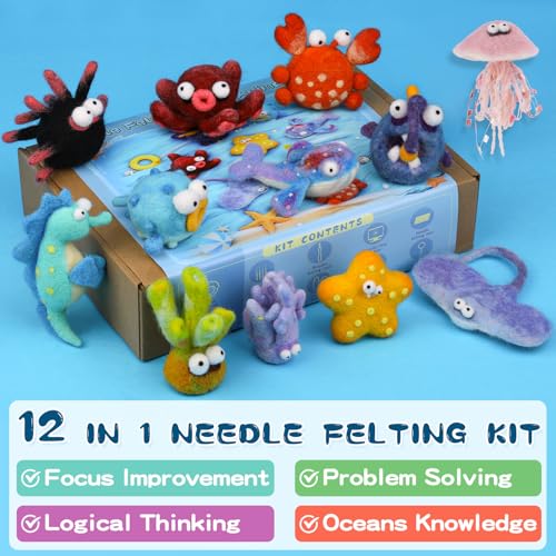 Needle Felting Kit