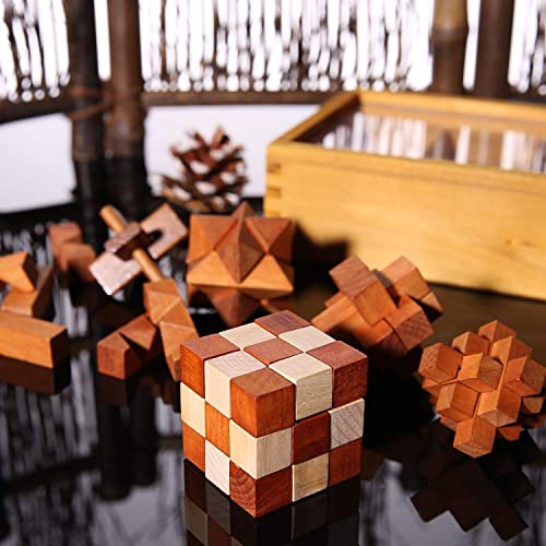 6pcs Wooden Brain Teaser Puzzles (6 Count)