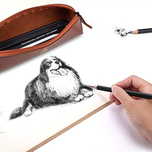 Sketching and Drawing Pencils Set