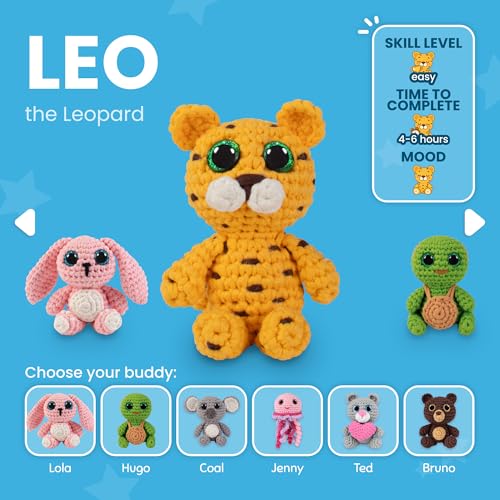 Crochet Kit for Beginners