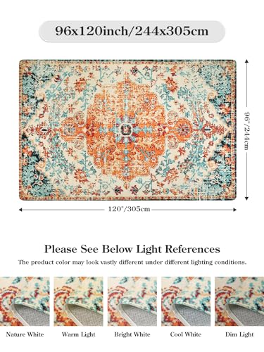 Reine Boho Rugs for Living Room 8x10