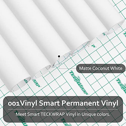 001 Smart Adhesive Vinyl Permanent