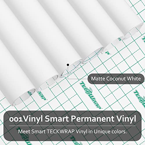 001 Smart Adhesive Vinyl Permanent