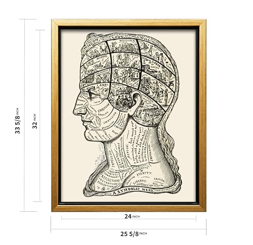 A Symbolic Head Phrenology Print 1899