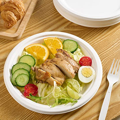 500 Pack Compostable Bagasse Paper Plates 9 inch (500 Count)