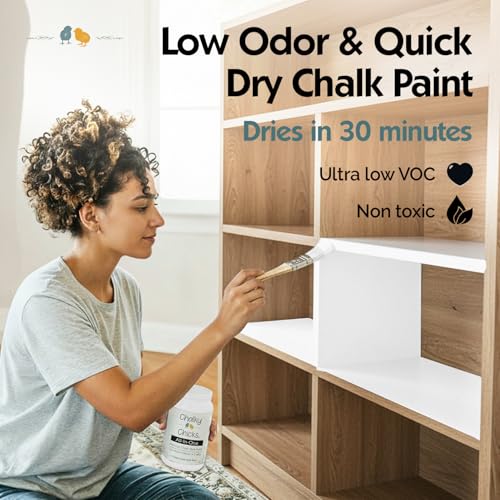 Powdered Snow 4 Fl Oz Chalk Paint for Furniture All in One