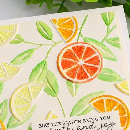 3D Embossing Folders Lemon Textured for Card Making