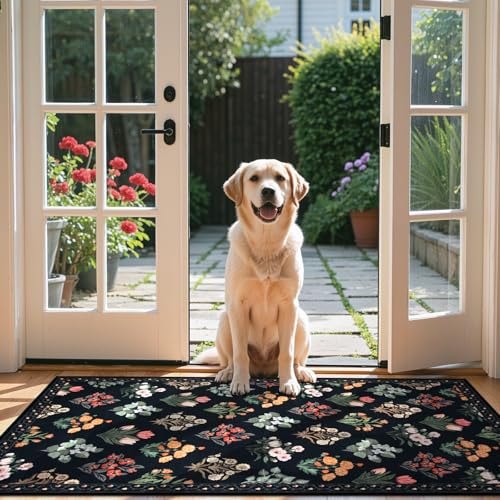 Washable 3x5 Area Rug (15 Sq Ft)