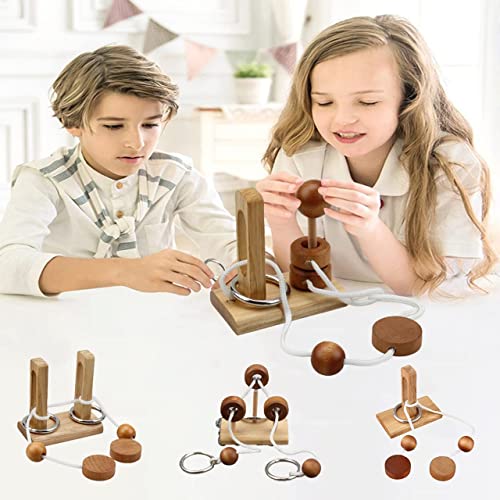 Wooden and Metal 3D Unlock Interlock Assorted Brain Teasers Puzzles (6 Count)