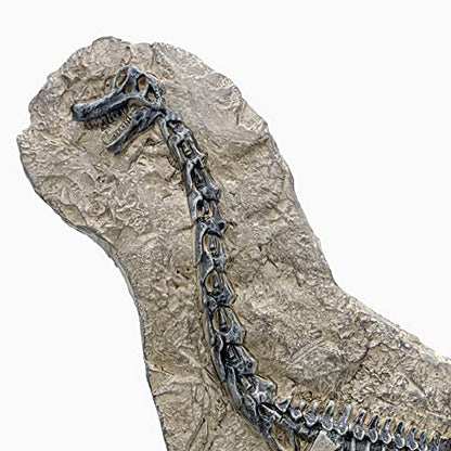 Resin Brachiosaurus Dinosaur Fossil Statue Model Simulated Skeleton Home Office Display Decorative Craft Box Decoration