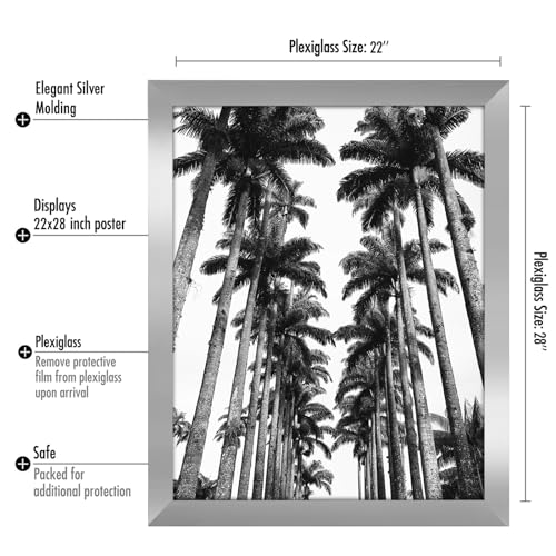 22x28 Poster Frame