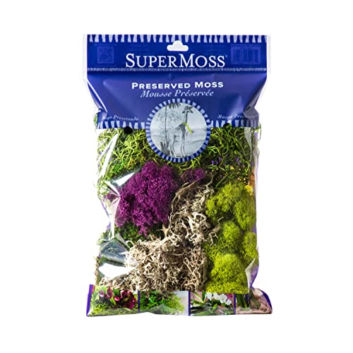 23311) Elegant Decorative Mixed moss, MultiColor, 120 cu.in., white (4 Ounce)