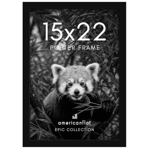 15x22 Poster Frame