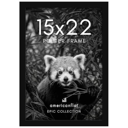 15x22 Poster Frame