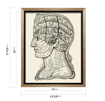 A Symbolic Head Phrenology Print 1899